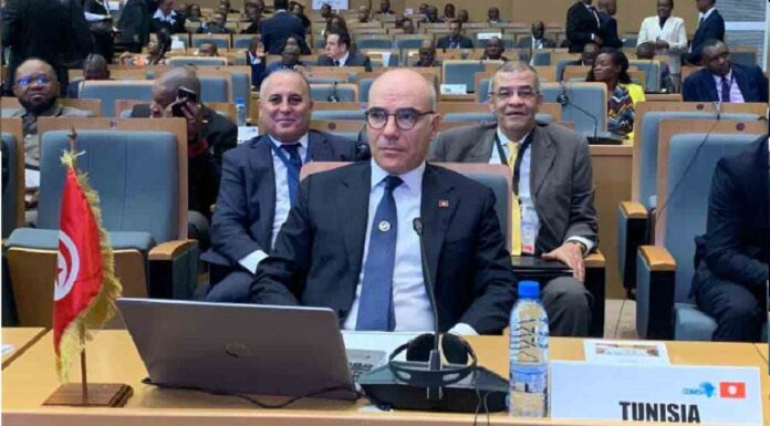 مؤتمر قمة “الكوميسا” – مشاركة ناجحة لتونس تكريسا لعمق اندماجها الافريقي
