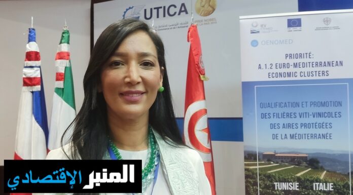 تأكيد على أهمية زراعة الكروم المستدامة في عصر العولمة