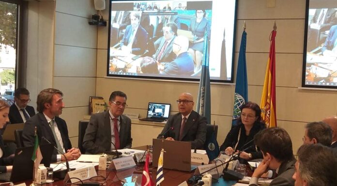 اللّجنة الاستشارية للمجلس الدّولي للزيتون بمدريد : تونس تشرف على الاشغال