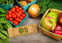 ارتفاع قيمة صادرات المنتجات الفلاحية البيولوجية بنسبة 7% موفى نوفمبر 2024