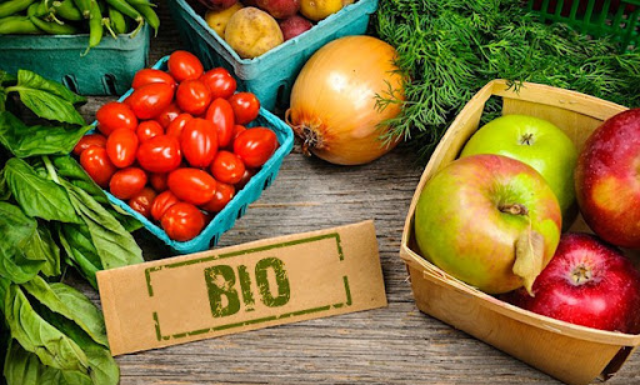 تنظيم الدورة 14 للصالون الدولي للفلاحة البيولوجية من 25 إلى 27 أفريل 2024