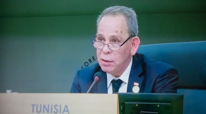 (فيديو) القمة الكورية الإفريقية: رئيس الحكومة يدعو إلى مراجعة النظام المالي العالمي