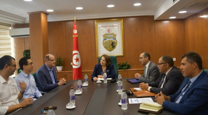 مؤسسة صينية لتصنيع السيارات تعرب عن رغبتها في الاستثمار في تونس وتطوير قطاع التنقل الكهربائي