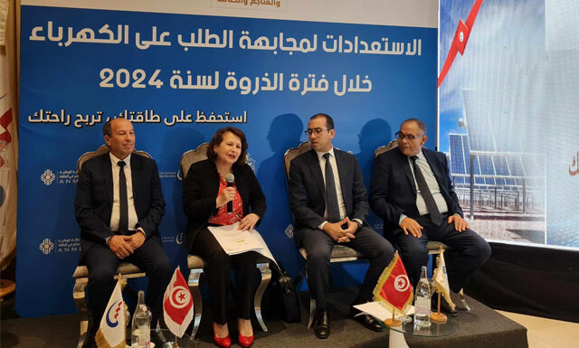 وزيرة الصناعة: ‘تونس تهدف إلى أن تصبح طاقتنا تونسية بنسبة 100 بالمائة’