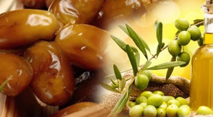 الميزان التجاري الغذائي يسجل فائضا بفضل صادرات التمور وزيت الزيتون